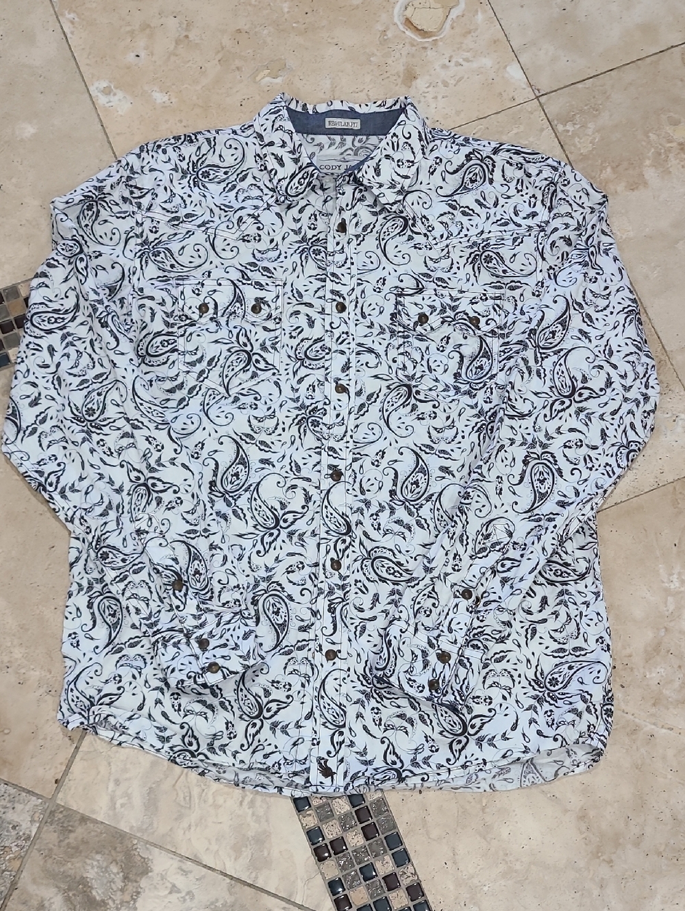 Men's Paisley Button-Down Shirt in White by Cody James